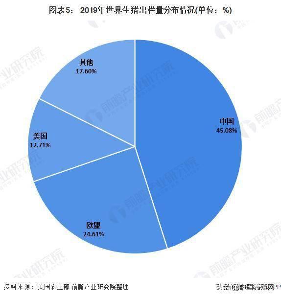 今日吃瓜现状分析图,今日吃瓜现状深度解析