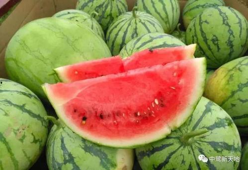 在线播放今日吃瓜探花,揭秘娱乐圈幕后故事