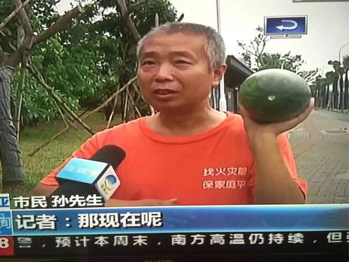 今日南京吃瓜热门事件,揭秘背后真相，网友热议不断